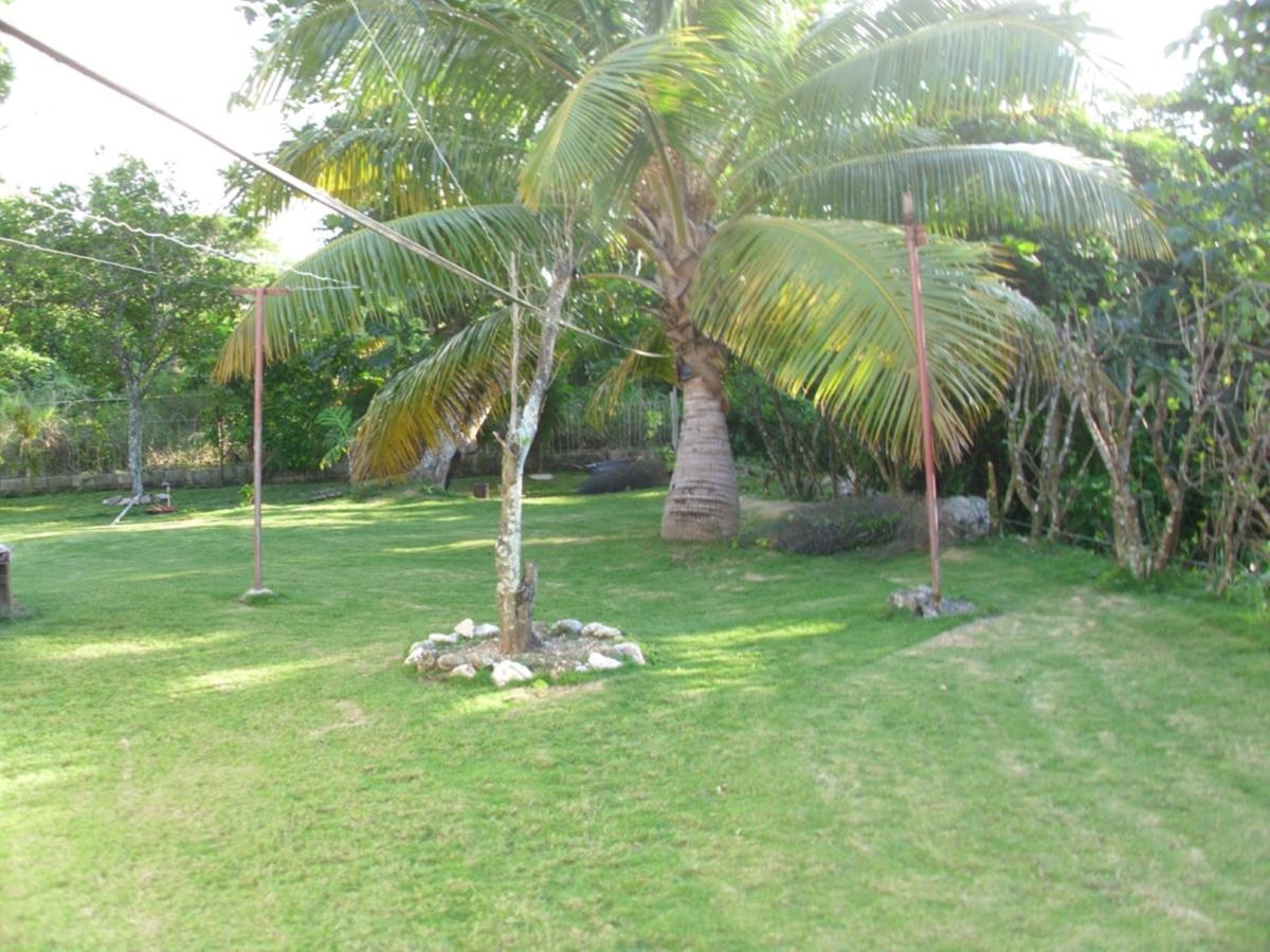 Whistling Villa Runaway Bay Bagian luar foto